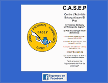 Tablet Screenshot of casep.es